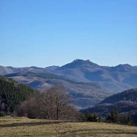 Bela Reka 204 Brzeće