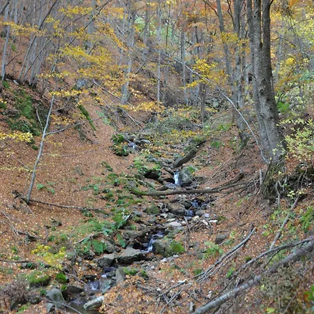 Bela Reka 204 Lejlighed