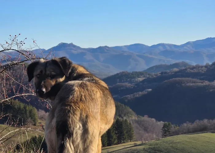 Bela Reka 204 Lejlighed