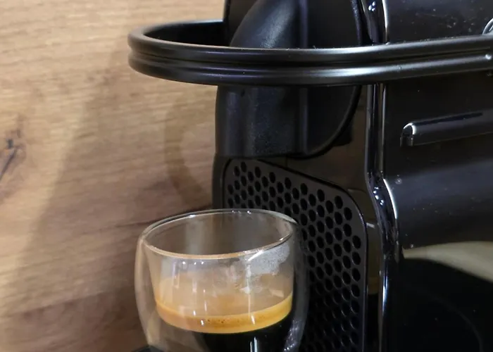 Bela Reka 204 * Brzeće