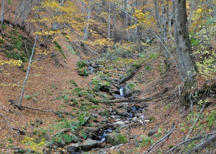 Bela Reka 204 Apartman